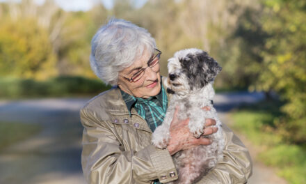 5 Things Seniors Need To Ask Before Adopting A Pet